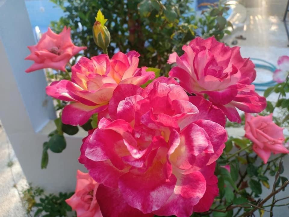 Ekman Garden Resort Sichon Εξωτερικό φωτογραφία